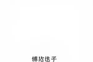 剪辑争议正片与花絮版本分镜差异示意